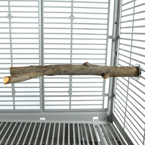 30cm_y_shaped_wood_parrot_perch_345329.jpg