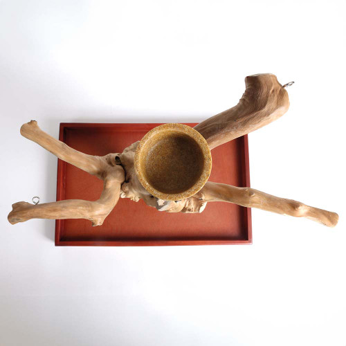 ***Clearance and Collection Only***Java Tabletop Tree - Medium - Natural Hardwood 4