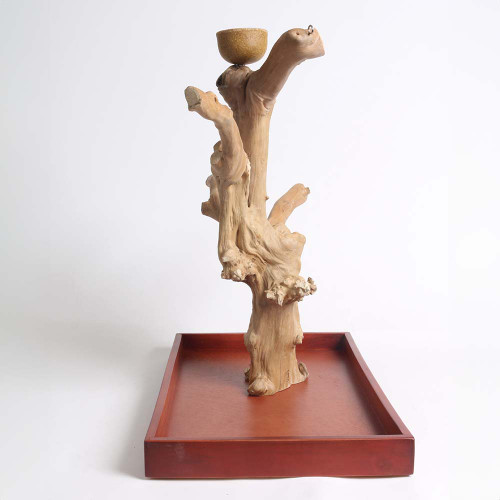 ***Clearance and Collection Only***Java Tabletop Tree - Medium - Natural Hardwood 1