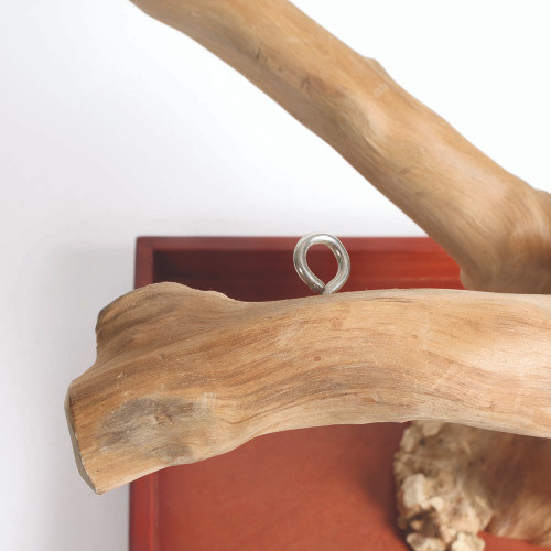 ***Clearance and Collection Only***Java Tabletop Tree - Medium - Natural Hardwood 8