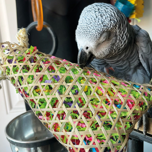 foraging pouch bird toy