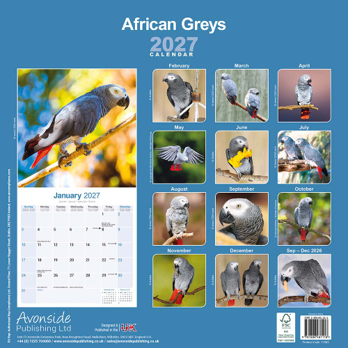 african_grey_calendar_861008_2