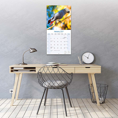 african_grey_calendar_861008_3