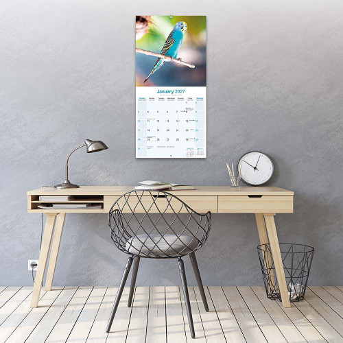 budgie_calendar_861010_3