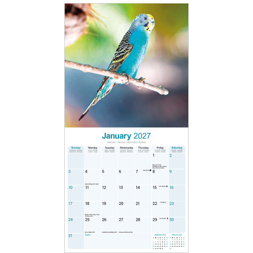 budgie_calendar_861010_1