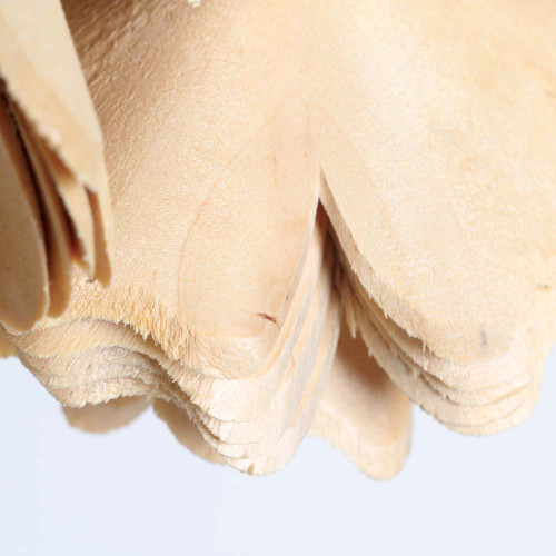 Flutterby Fairy Fun Natural Parrot Toy 4