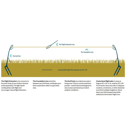 Leash Extension for Aviator Parrot Harness 3 Metres 2