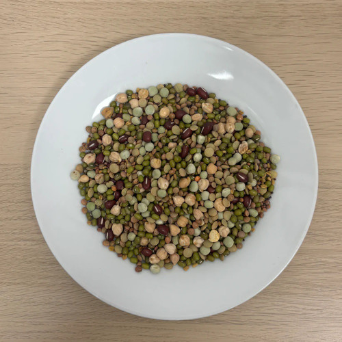 Best Behaved Birds Healthy Sprouting Mix Parrot Food 500g 2