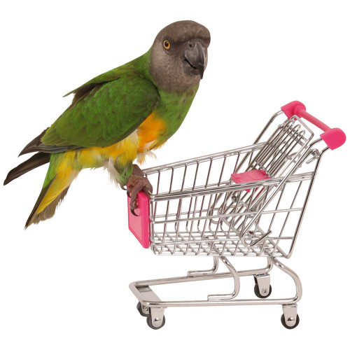 senegal on the shopping trolley toy