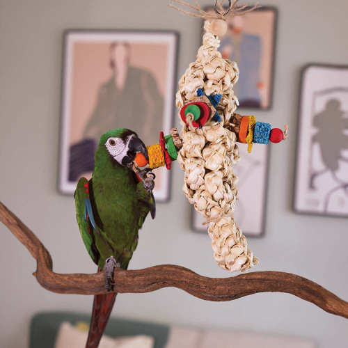 woven_forage_fun_parrot_toy_life_330003