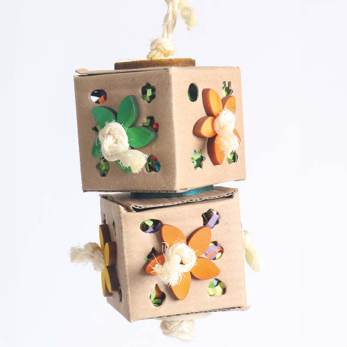 Double Discovery Cube Parrot Toy