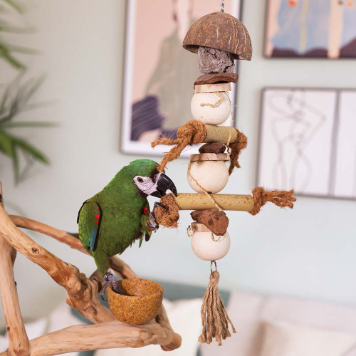 naturals_foraging_cup_medley_parrot_toy_life_330015