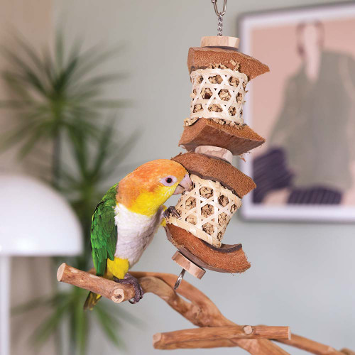 naturals_double_lantern_parrot_toy_life_330016