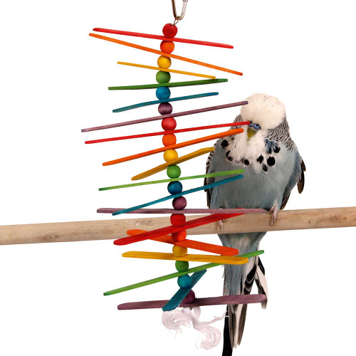 budgie with the popsicle sticks