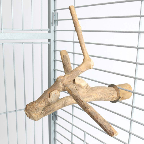 Extra Small Java Multibranch Natural Parrot Perch 1