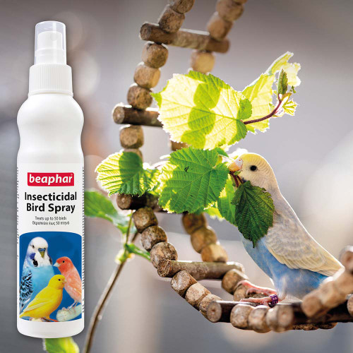 bird_insecticidal_spray_564214_7