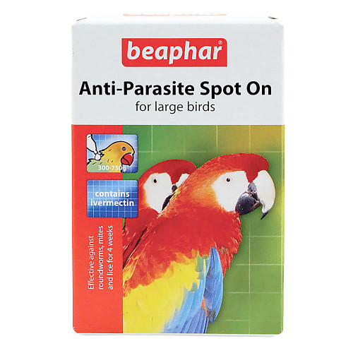 anti parasite treatment for greys, amazons, macaws