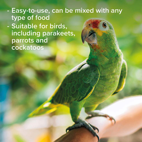 multi_vit_parrot_parakeet_564203_5