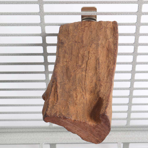 mangrove_lounger_parrot_perch_373150_2__59090 mangrove_lounger_parrot_perch_373150_2__59090