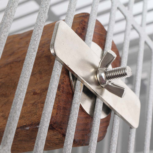 mangrove_lounger_parrot_perch_373150_5__85950 mangrove_lounger_parrot_perch_373150_5__85950