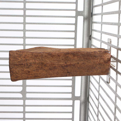 mangrove_lounger_parrot_perch_373150__54077 mangrove_lounger_parrot_perch_373150__54077