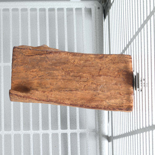 mangrove_lounger_parrot_perch_373150_1 mangrove_lounger_parrot_perch_373150_1