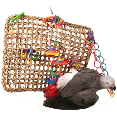activity wall parrot toy