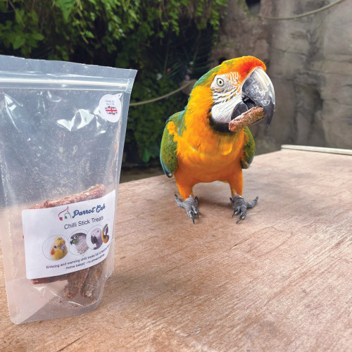 macaw with chilli sticks