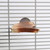 Manzanita Flat Parrot Perch - Large 4