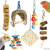 Northern Parrot Cockatiel and Small Parrot Toy Pack