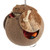 coco loco foraging toy