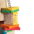 Mega Groovy Trunk Parrot Toy 6