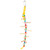 Peg Stacker Parrot Toy Small 4