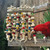 Peek and Play Wood & Rope Parrot Toy
