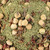 TOP's Mediterranean Medley Birdie Bread Mix 1.36lb 1