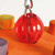 Jail Break Chewable Foraging Parrot Toy 5