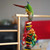 Hippy Style Shredding Stack Parrot Toy Small 8