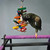 slats_and_knots_wood_and_leather_parrot_toy_366227_6_lifestyle