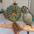 Bird Tire With Star Small Natural Woven Palm Leaf Parrot Toy