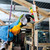 Leather Elves Three Bead Pizza Slice Parrot Toy