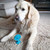 chase_n_chomp_stick-it_suction_cup_pupsicle_dog_toy_371910_2_lifestyle