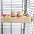 Large Foraging Platform Parrot Perch 5 Large Foraging Platform Parrot Perch 5