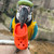Flip Flop Parrot Foot Toys Pack of 4 