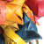 Bird Rattle Explosion Parrot Toy - Large 4