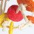 Natural Loofah Triangle Parrot Toy 4