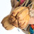 Cheerful Chirpy Sphere Chewable Foraging Parrot Toy 3