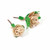 Apple Stick Roses Parrot Foot Toys