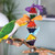 groovy_pyramid_parrot_toy_life_330006