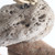 naturals_foraging_cup_medley_parrot_toy_330015_3