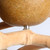 ***Clearance and Collection Only***Java Midi Tree Natural Hardwood Parrot Stand 6